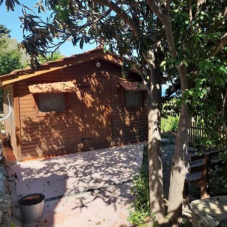 Casa Di Patouria , Stenies Andros Apikia  Zewnętrze zdjęcie