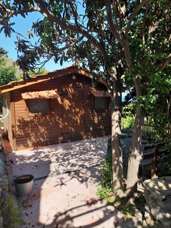 Casa Di Patouria , Stenies Andros Apikia  Zewnętrze zdjęcie