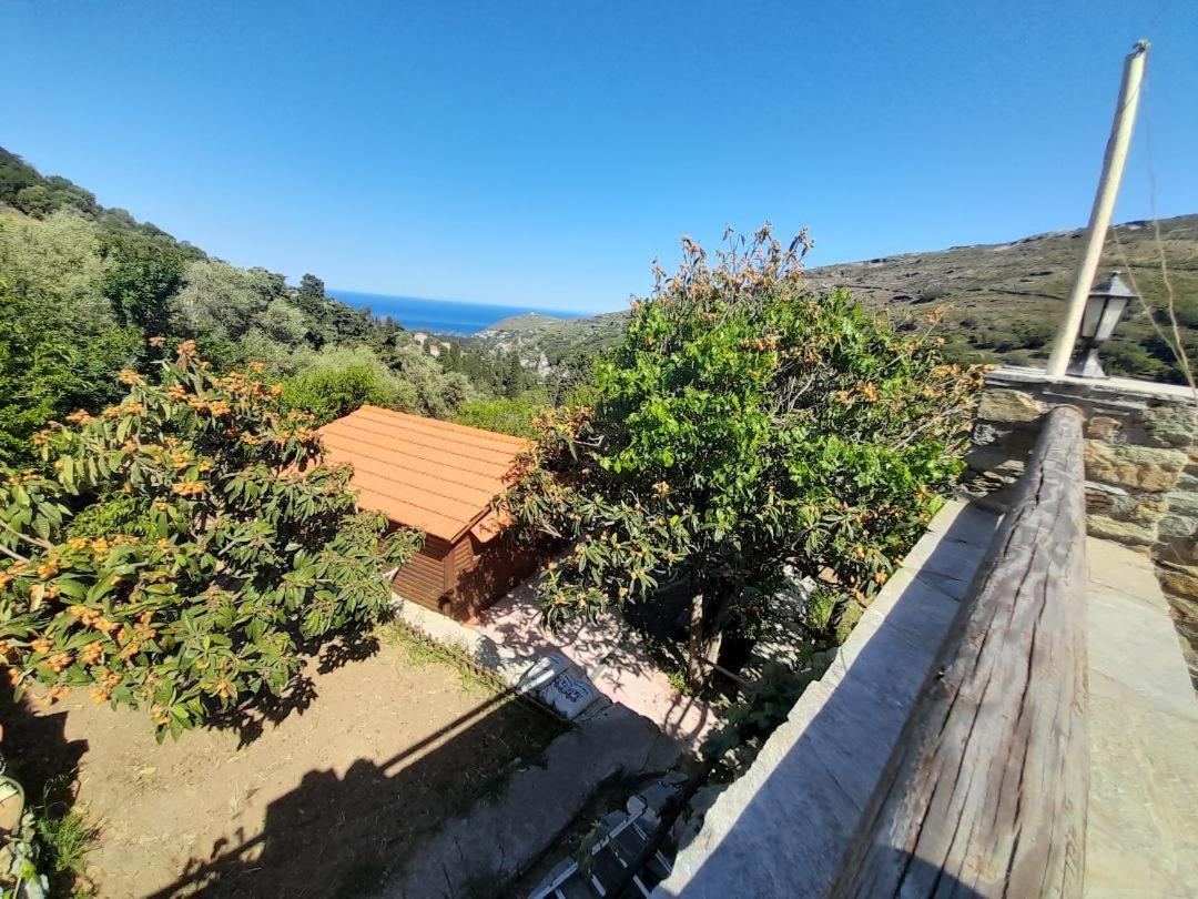 Casa Di Patouria , Stenies Andros Apikia  Zewnętrze zdjęcie