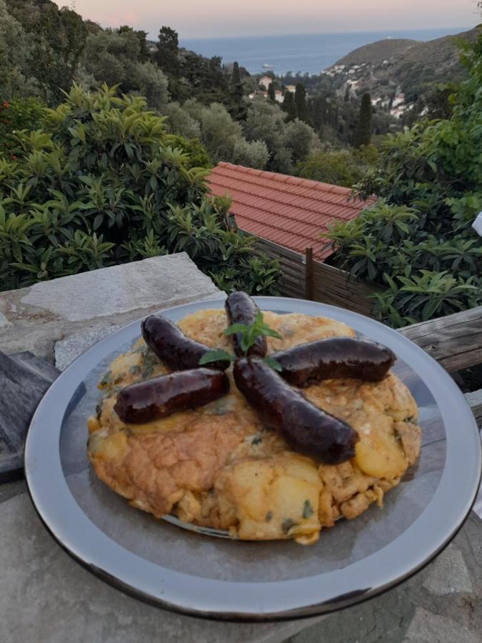 Casa Di Patouria , Stenies Andros Apikia  Zewnętrze zdjęcie